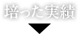 培った実績