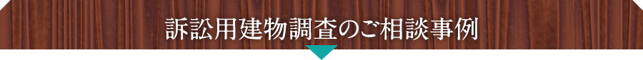 訴訟用建物調査のご相談事例